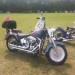 IMG_20140712_151528.jpg